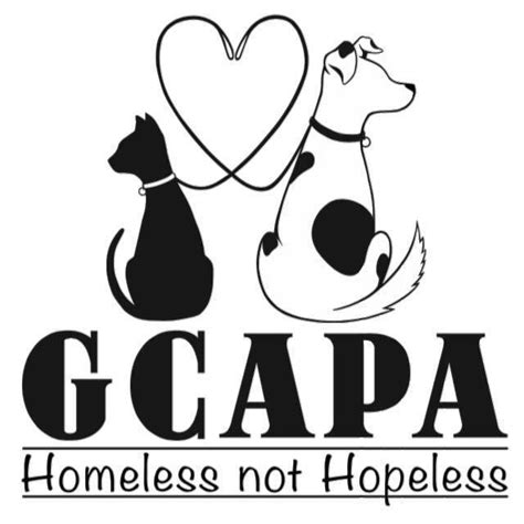 granite city no kill shelter.